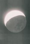 Wolfgang Tillmans Mond in Erdlicht, 1980 Courtesy of Galerie Buchholz, Maureen Paley, London, David Zwirner, New York