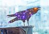 Kelly Heaton, Analog Electronic Crow, 2022, Custom printed circuit board with electronics, Photo detail of 