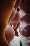 Eva Fbregas, Growths, 2022 Commissioned by Biennale de Lyon 2022 Photo: Amande Dionne