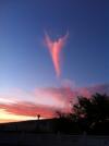 Andrea Orejarena & Caleb Stein, Sunset Angel (Found Image) © Orejarena & Stein. Courtesy Palo Gallery, NY