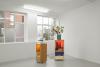 Phung-Tien Phan, Bureau du Change, Campoli Presti, London, 2020. Ausstellungsansicht. Foto: Campoli Presti und die Künstlerin. Courtesy: Museum Folkwang