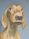 © Sandra Wrner  Paula  2020  Pastell auf Knstlerkarton  gerahmt 52 x 42 cm
