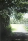 Gerhard Richter: Richters Garten (Sommertag), 1999</strong></p><p> Öl auf Leinwand</p><p>(Albertina, Wien – Dauerleihgabe aus österreichischem Privatbesitz)